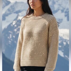 NWT DH New York oatmeal waffle sweater with scattered sequins size small